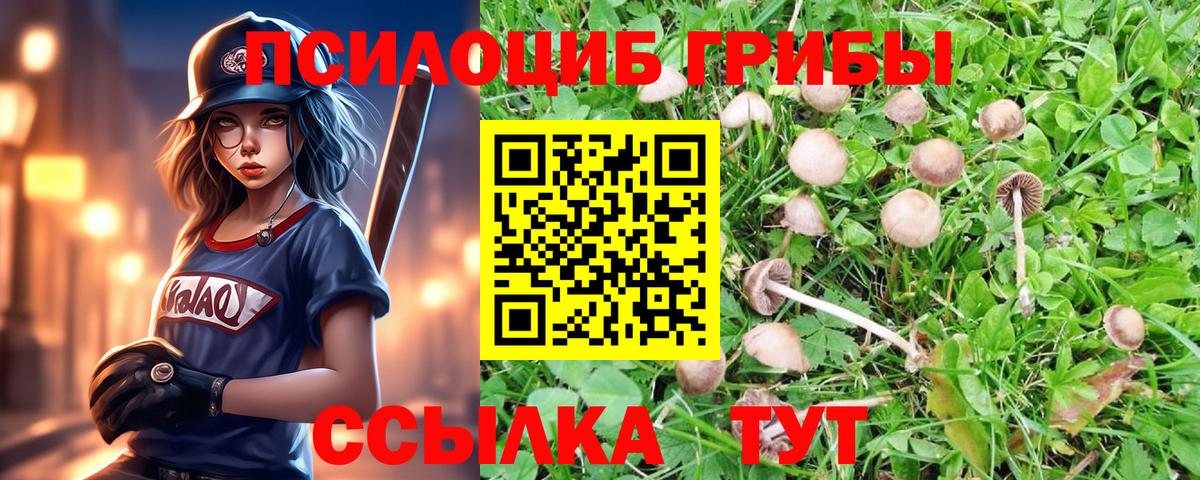 Галлюциногенные грибы мухоморы  Вход с VPN  Кандалакша 